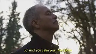 Manifest Law of attraction - Genie script-Wesley virgin the genie script