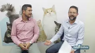 REABILITAÇÃO POR FISIOTERAPIA PARA GATOS!