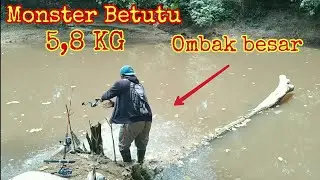 Mancing ikan betutu monster,rekor terbesar pribadi,5 ekor tertangkap bersama team Regol kali