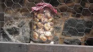 Furelos (Melide) A Coruña (Galicia)