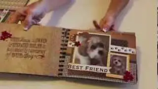 Pet Mini Albums