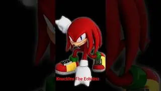 knuckles the Echidna Voice lines
