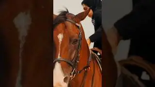 Mounted Archery at Full Gallop | Traditional Equestrian Archery on Horseback