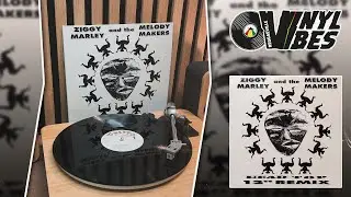 Ziggy Marley & The Melody Makers - Head Top (Remix |&nbsp;Special) [Reggaeville Vinyl Vibes #122]