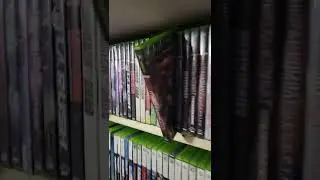 Original Xbox best exclusive games.