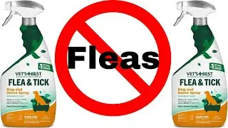Does Vet's Best Flea and Tick Dog and Home Spray Work?