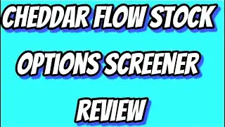 Cheddar Flow Review - Stock Options Screener