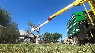 rapid removal