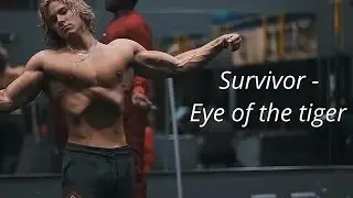 Gym motivation - Survivor - Eye of the tiger (Alex Eubank, Cbum, David Laid, Zyzz)
