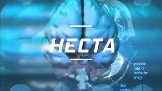 #1 Hecta The knowledge store