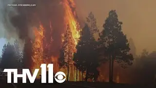 Park fire now one of the largest wildfires in California history