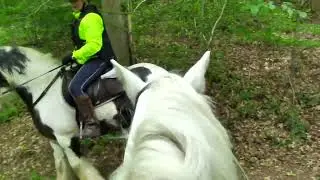 Gorgeous Roman Lakes on horseback