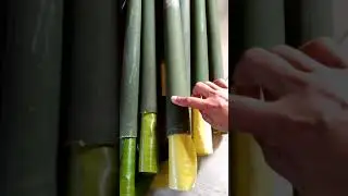 cara membuat nasi pewong atau nasi bambu