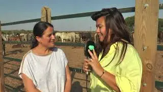 SACA DE LAS YEGUAS 2018 NOCHE MARISMA