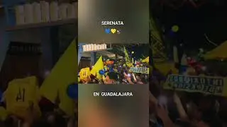 LA AFICI&Oacute;N AZULCREMA EN GUADALAJARA LLEV&Oacute; SERENATA AL CLUB AMERICA 💙💛🦅