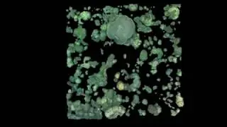 Photogrammetric calculation of live coral cover