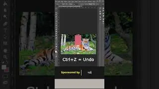 Function Key Shortcut  Short Tricks   Secret Windows Shortcuts #shorts #short #pentanik_it