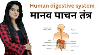 DIGESTIVE SYSTEM CLASS 06