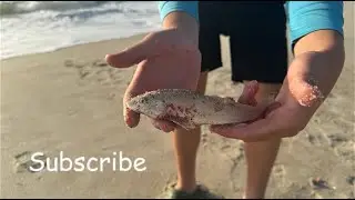 Fishing North Carolina surf and cape fear river