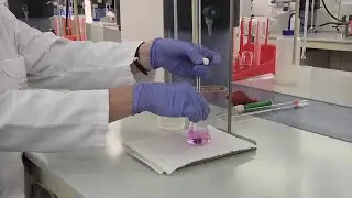 Valoración ácido-base: uso de un patrón primario