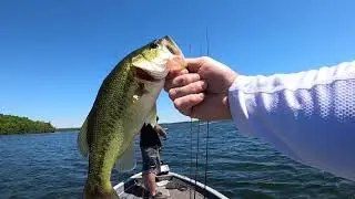 Monster Adventures TV - Bass Opener 2021