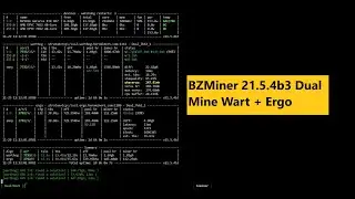 How to Dual Mine Wart + Ergo BZMiner
