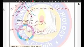 Most Important Diagram Based Questions for JAC Board Exam 2026  ye nahi dekha to kya dekha 