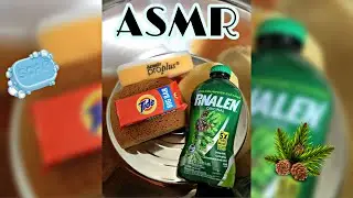 ASMR Pine & Laundry Bar Soap Satisfying Sponge Squeezing (Pine Pinalen & Tide Bar) Sponge Rinsing