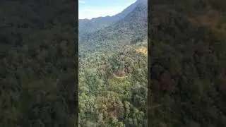 Father organic farm. Batang Kali.