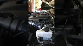 2018 Nissan Navara EL COLD START Knocking Sound. Advices and Help.
