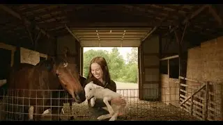 Love For Animals - Flanary Veterinary Clinic - Paducah KY