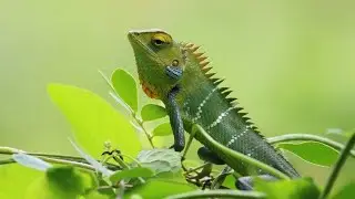Wonderful nature#alpharadius