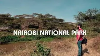 The Only National Park Within A City - Nairobi National park