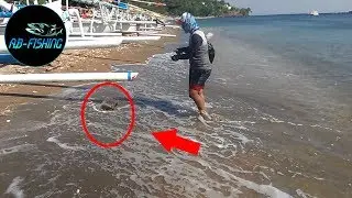 WOW - Lure Jitu - Strike Barracuda Size Besar Di Pagi hari
