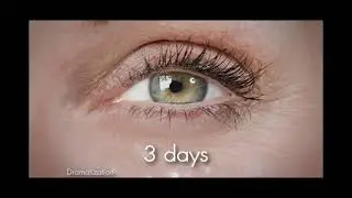 ROC Look JACOB GETZ NYC Commercial, Fine Art Photographer & Director : DP