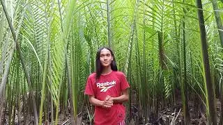 Ormoc music pop🎥. Audition video