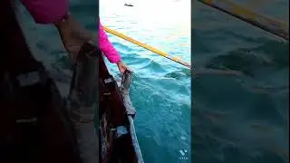 Nainital best copule dance & botting ,cave garden