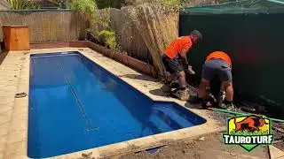 Tauro Turf Installs New Colorbond fencing and Artificial Grass