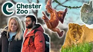 What’s new at Chester Zoo? 2025 🦁