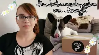 Hundeüberraschungsbox von Amazon