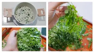 Healthy Drumstick Leaves Soup | Moringa Soup | Stomach Friendly Food