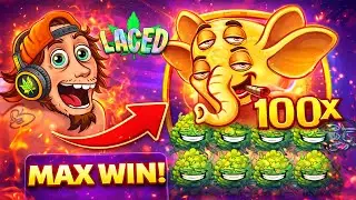 MAX WIN in LACED! 🐘🔥 100x ELEFANT KOMPLETT AUSGERASTET