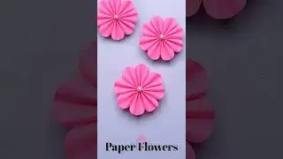 DIY Paper Flowers | Paper Craft | Easy Paper Flowers 🌸 #papercraft #paperflower #craftideas