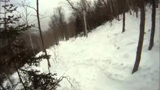 Sugar Valley Glades 3-13-14 Whiteface