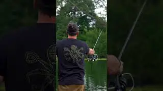 🎬 СЕЗОН ЛОВЛИ КАРПОВ &ndash; ПОД ЛИЛИЯМИ: ЛЕТО ☀️ #dnabaits #shorts #carpfishing #carpbait