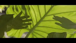 Matteo Cappella  - Riflessi (videoclip)