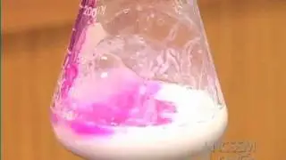 Single Displacement: Calcium and Water