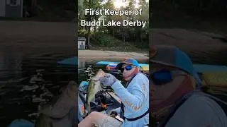1st Keeper Largemouth of Budd Lake Derby! #kayakfishing #bassfishing #shorts #largemouthbass #angler