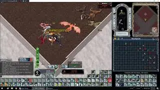 Roof Solo Sampire