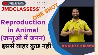 Class 8 Science ncert rbsc Chapter 6 Reproduction in plant in Hindi जन्तुओ में जनन with proper notes